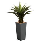 Agave Vetplant kunstplant, H105cm, Huis en Inrichting, Kamerplanten, Ophalen of Verzenden