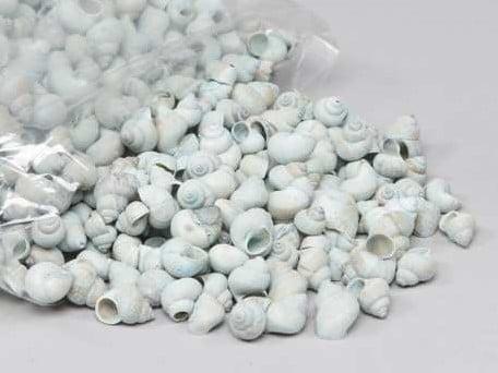 Umachi Schelpen Blue Washed 1 kilo, Hobby en Vrije tijd, Knutselen, Nieuw, Ophalen of Verzenden