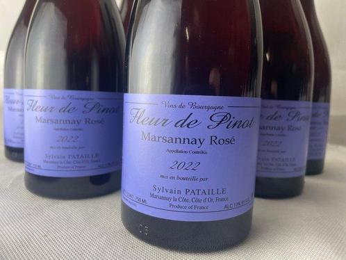 2022 Sylvain Pataille Fleur de Pinot - Marsannay - 6, Verzamelen, Wijnen