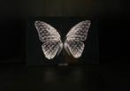 Mike Blackarts - Exclusive Grey Edition Butterfly with