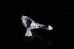 Figuur - Swarovski - Gansje Harry (Boxed) - Kristal