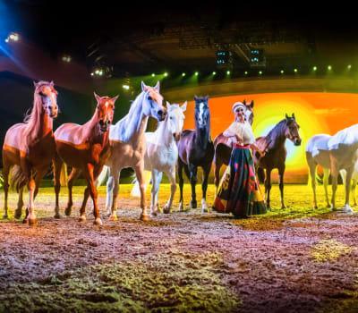 Cavalluna Tickets Ahoy Te Koop, Tickets en Kaartjes, Theater | Overige