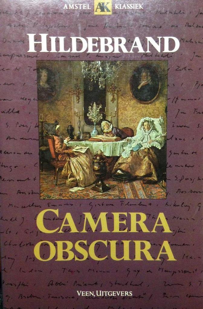 Camera obscura 9789020453720 Hildebrand, Boeken, Romans, Gelezen, Verzenden