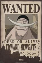 Poster One Piece Wanted Edward Newgate 35x52cm, Verzenden, Nieuw, A1 t/m A3