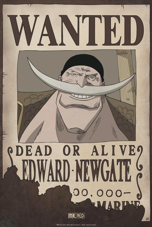 Poster One Piece Wanted Edward Newgate 35x52cm, Verzamelen, Posters, Nieuw, A1 t/m A3, Verzenden