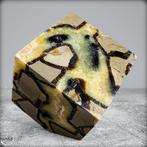 Natuurlijke Massieve Septarien Dobbelstenen uit Madagaskar-