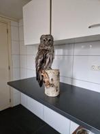 Great grey owl Taxidermie volledige montage - Strix nebulosa, Verzamelen, Dierenverzamelingen, Nieuw