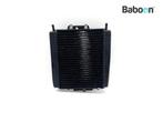 Radiateur Piaggio | Vespa MP3 500 LT Sport 2014-2015 (VIN:, Verzenden, Gebruikt