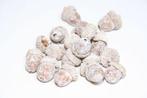 Eikeltjes White Wash Whole LOS zak 200gr Eikeltjes, Ophalen of Verzenden, Nieuw