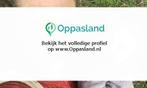 Christi zoekt een oppas in Utrecht voor 3 kinderen voor 7...