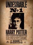Harry Potter: Undesirable No. 1 30 x 40 cm Glazen Poster