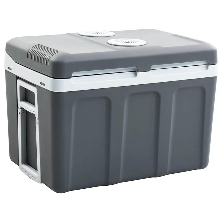 vidaXL Koelbox thermo-elektrisch draagbaar 12 V 230 V E 40 L, Witgoed en Apparatuur, Koelkasten en IJskasten, Nieuw, Verzenden