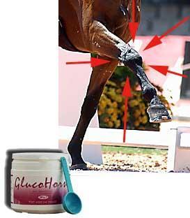 GLUCOHORSE-Artrosepoeder paard/pony-Voor soepele gewrichten! beschikbaar voor biedingen