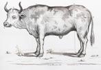 De Nanzio - Esippognosia ovver Conoscenza Esterna del, Antiek en Kunst, Antiek | Boeken en Bijbels