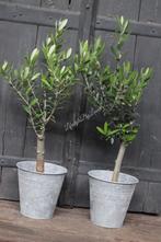 Zinken bloempot 14 cm, Huis en Inrichting, Woonaccessoires | Vazen, Ophalen of Verzenden, Nieuw