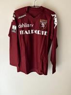 Torino - Italiaanse voetbal competitie - Christian Obodo -, Nieuw