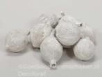 Cowri fruit white wash 300 gram Noten, Hobby en Vrije tijd, Knutselen, Ophalen of Verzenden, Nieuw