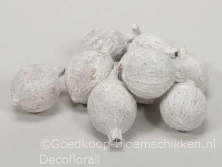 Cowri fruit white wash 300 gram Noten, Hobby en Vrije tijd, Knutselen, Nieuw, Ophalen of Verzenden