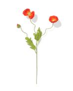 HEMA Kunstbloem papaver rood, Verzenden