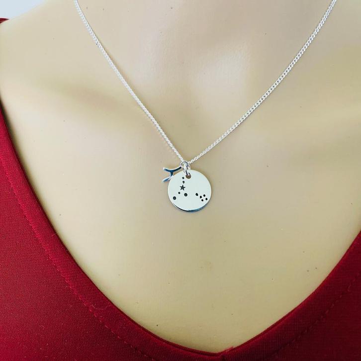 925 Zilveren Vissen Pisces sterrenbeeld zodiak ketting, Sieraden, Tassen en Uiterlijk, Kettingen, Nieuw, Verzenden