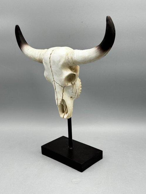 buffel schedel - Figuur - Hars, kunststof, Antiek en Kunst, Kunst | Designobjecten