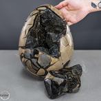 Natuurlijk Drachen-Septarien Ei uit Madagaskar – 13,3 kg, Verzamelen, Mineralen en Fossielen