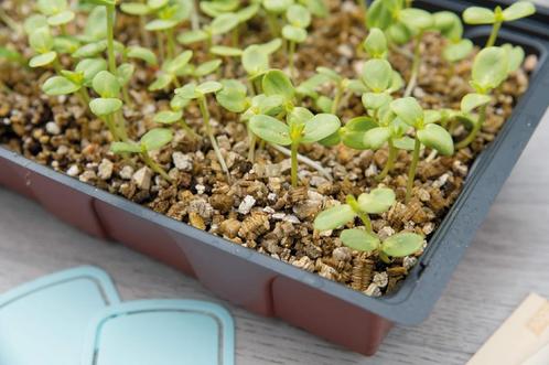 Vermiculiet droogt niet snel uit en is luchtig voor de grond, Tuin en Terras, Aarde en Mest, Vermiculiet, Ophalen of Verzenden