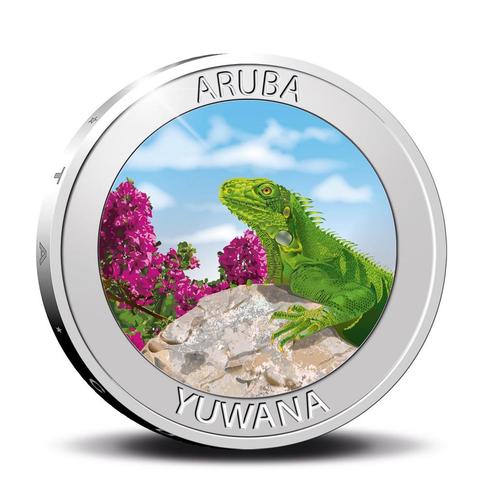 Aruba 5 Florin ‘Yuwana’ 2021 Zilver Prooflike, Postzegels en Munten, Munten | Nederland, Verzenden