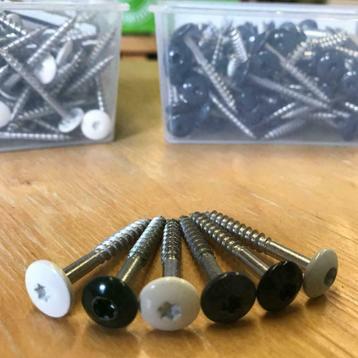 Trespa/HPL Kleurschroeven RVS 100 Stuks+Gratis TX Bit beschikbaar voor biedingen