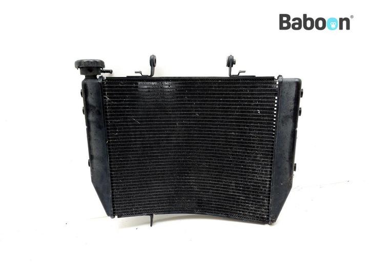 Radiateur Triumph Street Triple 765 R 2017> (806646>, Motoren, Onderdelen | Overige, Gebruikt, Verzenden