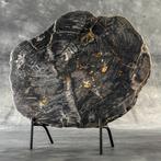 -C- Groot stuk versteend hout op een aangepaste standaard -