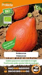 Protecta Groente zaden: Potimarron Pompoen Biologisch, Tuin en Terras, Ophalen of Verzenden