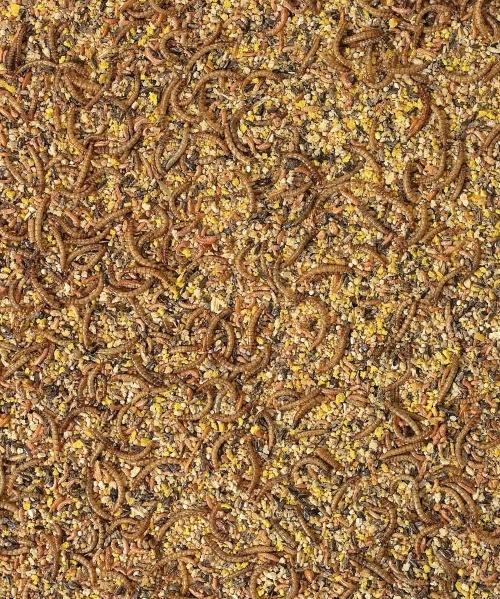 Orlux opfokvoer fazant en kwartel 1 kilo - Overige zaden, Dieren en Toebehoren, Vogels | Toebehoren, Nieuw, Verzenden