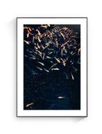 Jorge Omeñaca - Fish constellatio, Antiek en Kunst, Kunst | Schilderijen | Modern