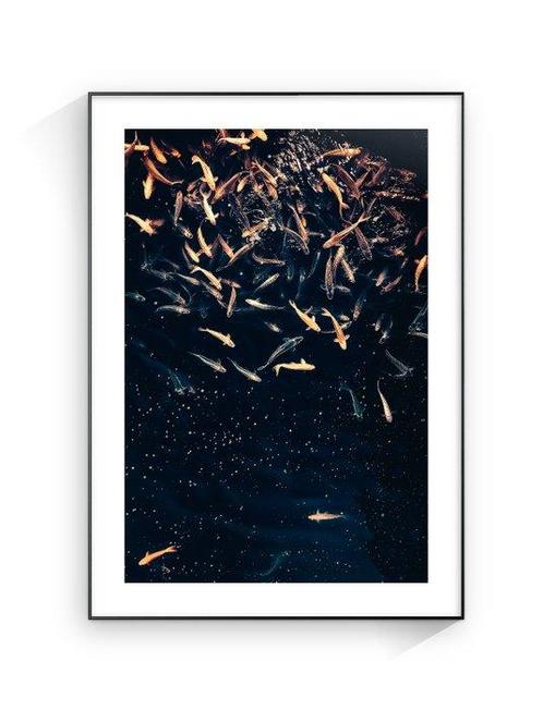 Jorge Omeñaca - Fish constellatio, Antiek en Kunst, Kunst | Schilderijen | Modern