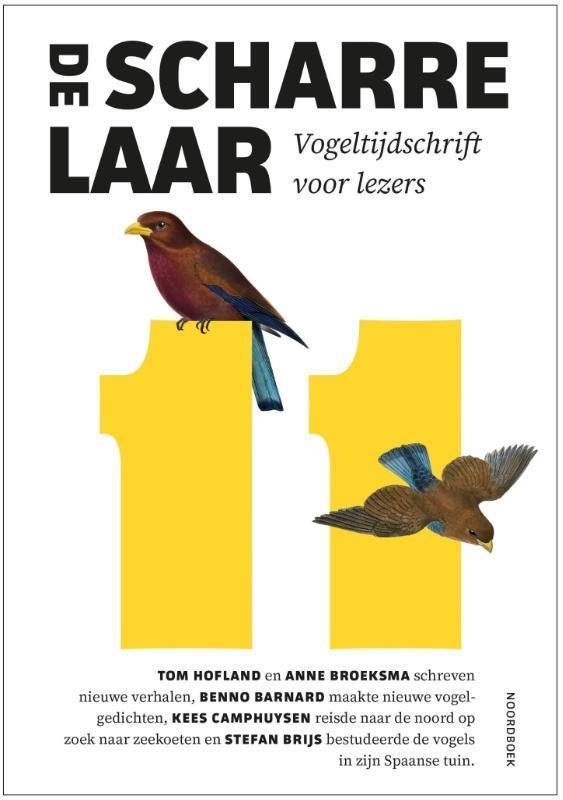 De Scharrelaar 11 | 9789464712636 | Algemeen, Boeken, Taal | Overige Talen, Nieuw, Ophalen of Verzenden