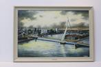 Frank van der Burg XX - De Zwaan