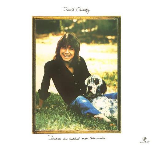 LP gebruikt - David Cassidy - Dreams Are Nuthin More Tha..., Cd's en Dvd's, Vinyl | Rock, Zo goed als nieuw, Verzenden