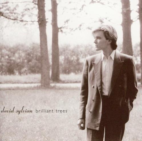cd - David Sylvian - Brilliant Trees, Cd's en Dvd's, Cd's | Overige Cd's, Zo goed als nieuw, Verzenden