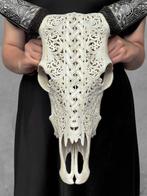 GEEN MINIMUMPRIJS - Witte uitgehouwen koeieschedel met