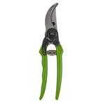 Talen Tools Snoeischaar budget - Groen (Snoeischaren) (Tuin), Ophalen of Verzenden, Nieuw