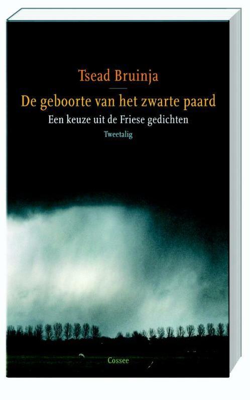De geboorte van het zwarte paard 9789059362048 Tsead Bruinja, Boeken, Overige Boeken, Zo goed als nieuw, Verzenden