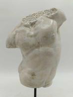 sculptuur, Torso Gaddi - 36 cm - marmerstof, Antiek en Kunst, Curiosa en Brocante