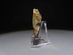 Europa Vuursteen harnas. 4,7 cm hoog. Neolithicum, 6000 -