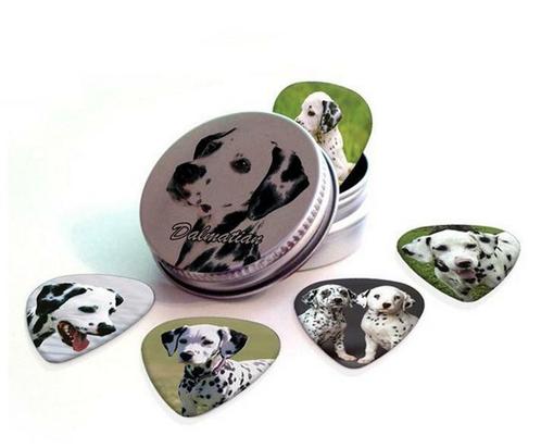 Blikje + plectrums met afbeelding van een Dalmatiër hond, Verzamelen, Overige Verzamelen, Nieuw, Ophalen of Verzenden