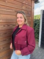 Dames bomber bordeaux, Kleding | Dames, Jasjes, Kostuums en Pakken, Nieuw
