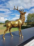 Beeld, hert staande 55 cm - 55 cm - polyresin