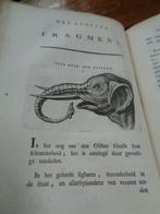 Johann Caspar Lavater - Over de physiognomie - zeldzame set,, Antiek en Kunst