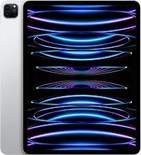 Apple iPad Pro 12,9 2TB [wifi, model 2022] zilver, Computers en Software, Apple iPads, Zilver, Zo goed als nieuw, Wi-Fi, Verzenden