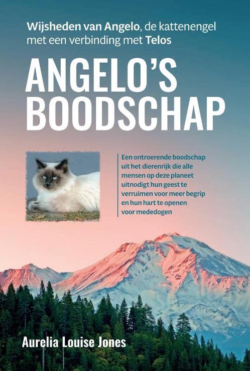 Angelo’s boodschap 9789460152078 Aurelia Louise Jones, Boeken, Esoterie en Spiritualiteit, Zo goed als nieuw, Verzenden